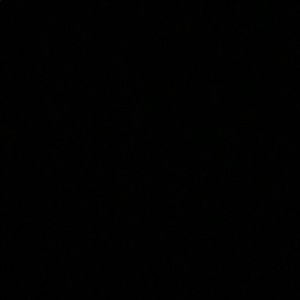 Meet your Posher, Will